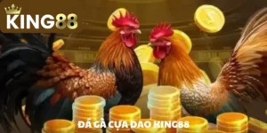 Đá gà cựa dao – Trò chơi chọi kê hàng đầu năm 2025