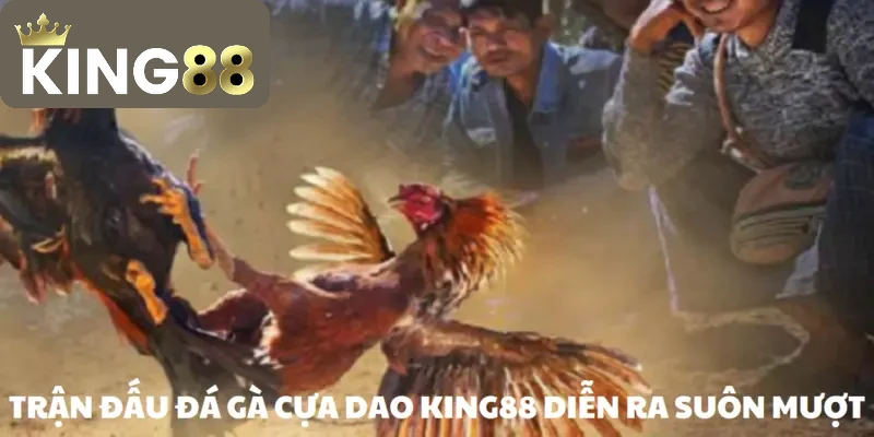 Cược gà cựa dao trên KING88 dễ dàng thực hiện