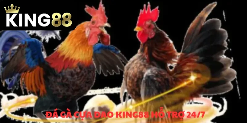 Chăm sóc khách hàng không gián đoạn, phục vụ 24/7