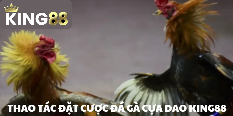 Cuộc chiến diễn ra một cách chóng vánh