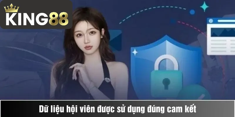 Quyền Riêng Tư 2 Dữ liệu hội viên được sử dụng đúng cam kết